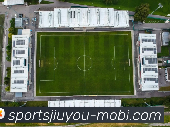 多媒体互动体验